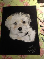 /album/galerie-photos/photo-1142-jpg/